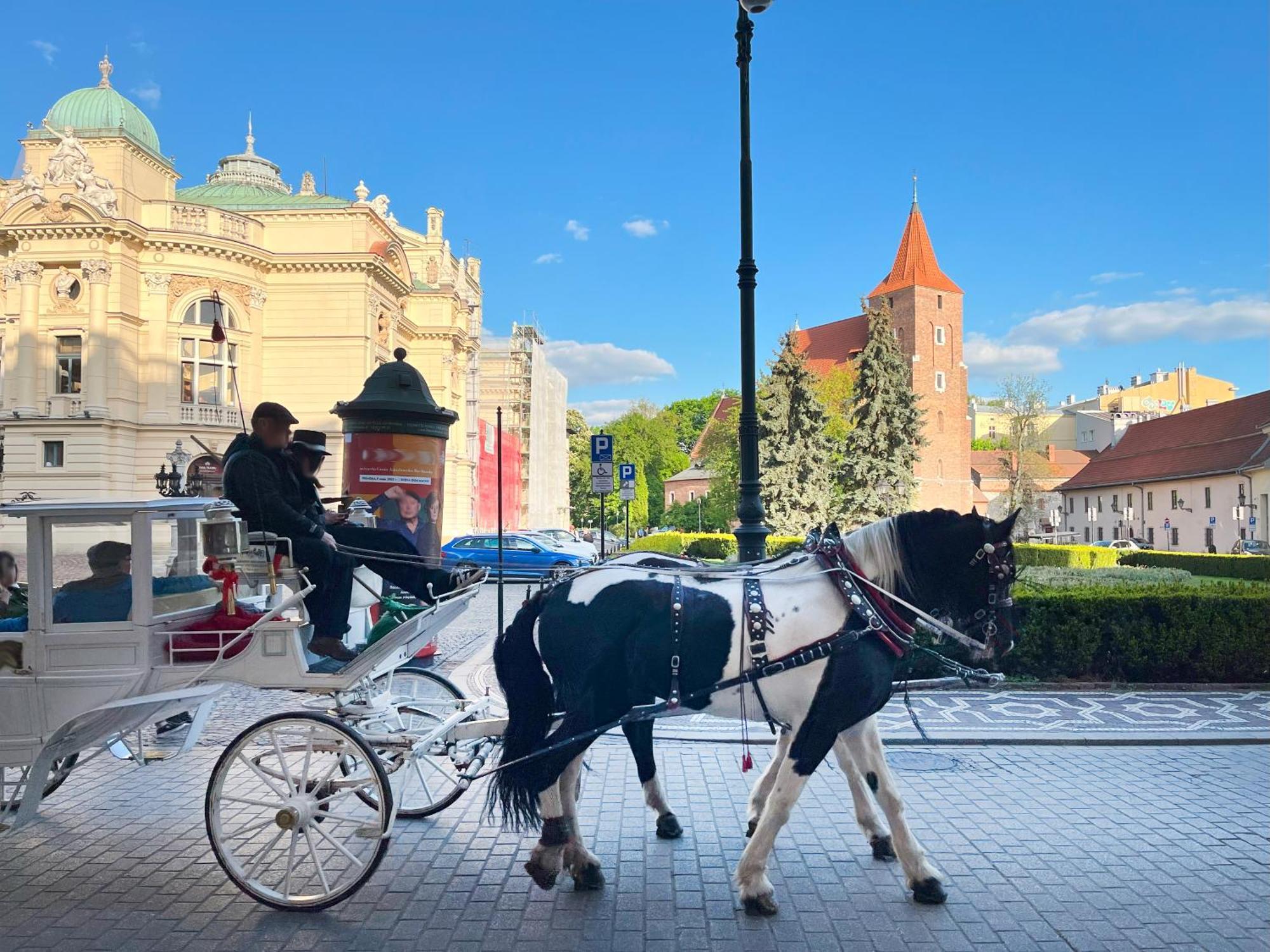 With Separate Bedroom In The Heart Of Krakow, Market Square Appartement